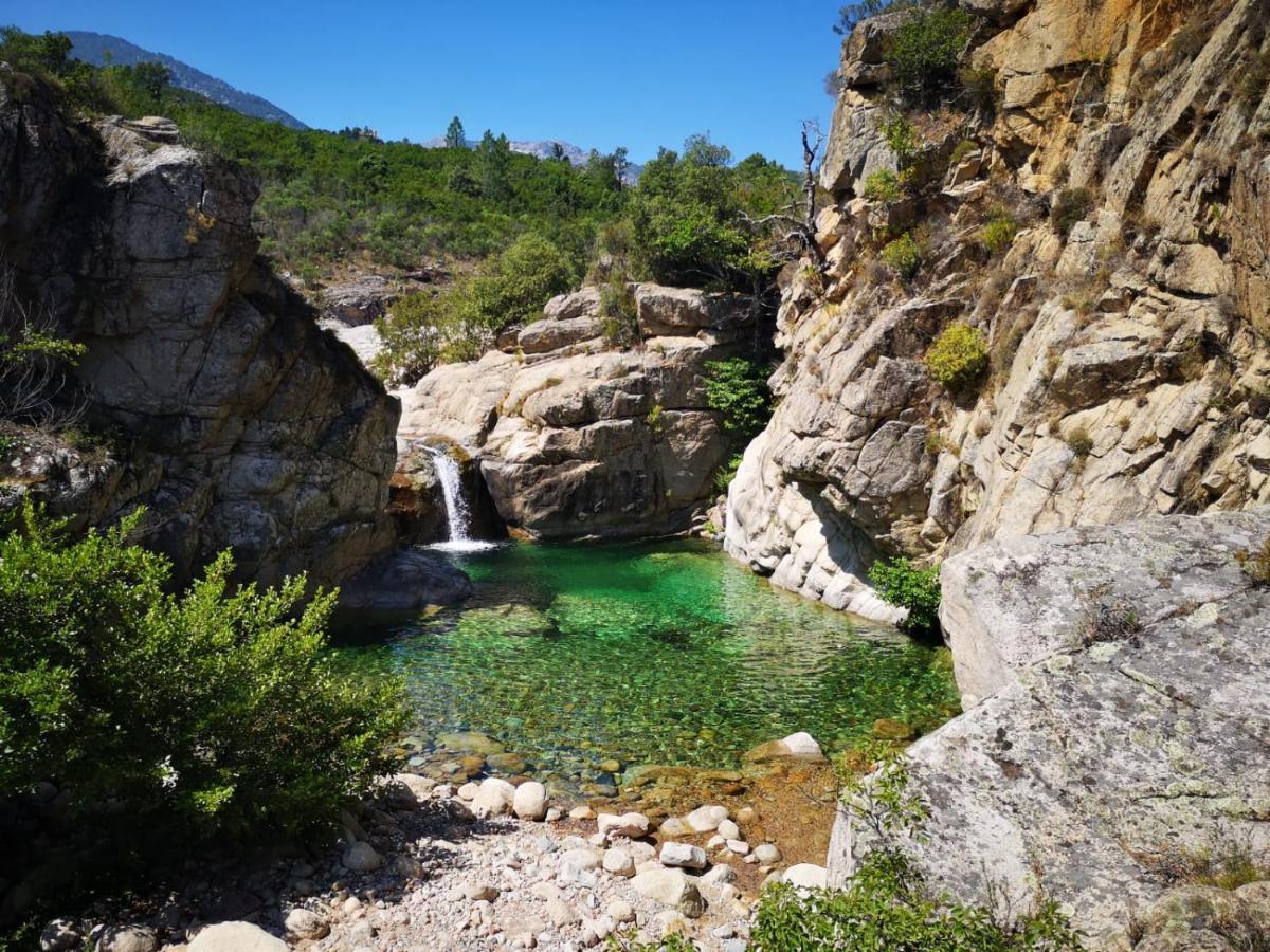 Un Petit Paradis Pinarellu Eksteriør billede